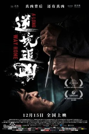 逆境追凶（A Long Way Home） 竖版封面