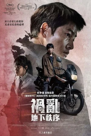 祸乱（화란） 竖版封面