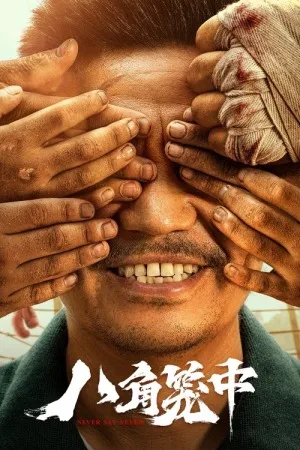 八角笼中（Never Say Never） 竖版封面