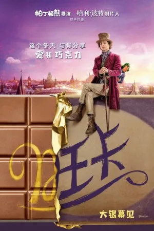 旺卡（Wonka） 竖版封面