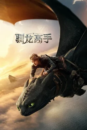 新·驯龙高手（How to Train Your Dragon） 竖版封面