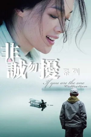 非诚勿扰（系列合集 3部）（If You Are the One (Collection)） 竖版封面