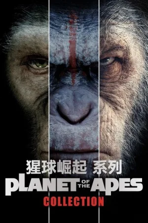 猩球崛起（系列合集 4部）（Planet of the Apes (Reboot) Collection） 竖版封面