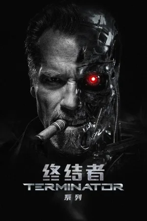 终结者（系列合集 6部）（The Terminator Collection） 竖版封面