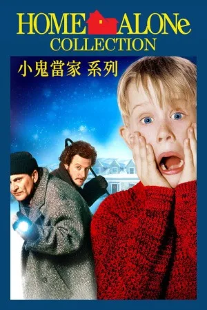 小鬼当家（系列合集 4部）（Home Alone Collection） 竖版封面