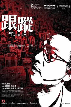 跟踪（Eye in the Sky） 竖版封面