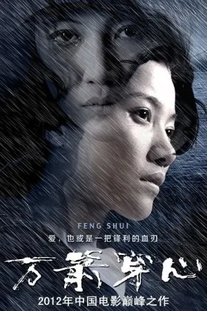 万箭穿心（Feng Shui） 竖版封面