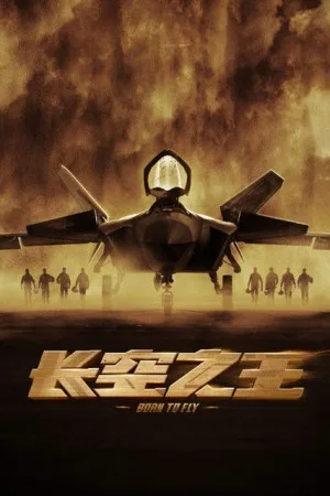 长空之王（Born to Fly） 竖版封面