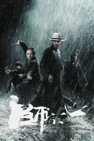 一代宗师（The Grandmaster） 竖版封面