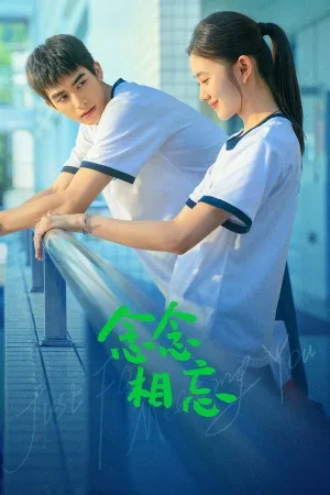 念念相忘（Just For Meeting You） 竖版封面