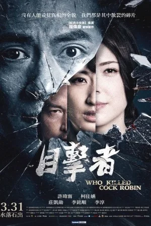 目击者之追凶（Who Killed Cock Robin） 竖版封面