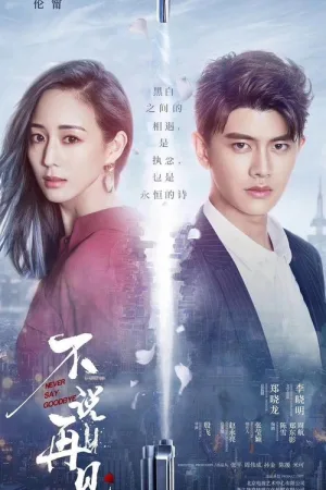 不说再见（Never Say Goodbye） 竖版封面