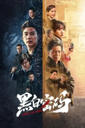 黑白密码（Chase the Truth） 竖版封面