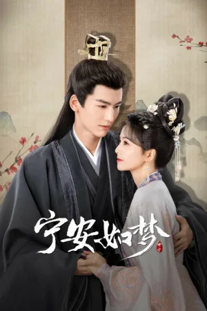 宁安如梦（Story of Kunning Palace） 竖版封面