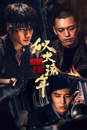 似火流年（Burning Years） 竖版封面