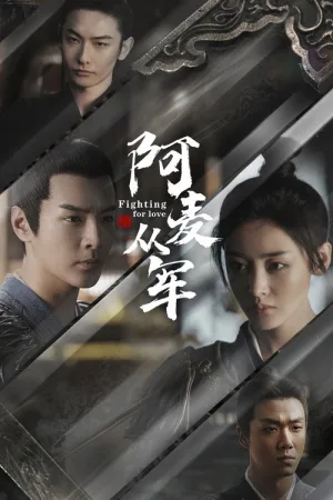 阿麦从军（Fighting for Love） 竖版封面