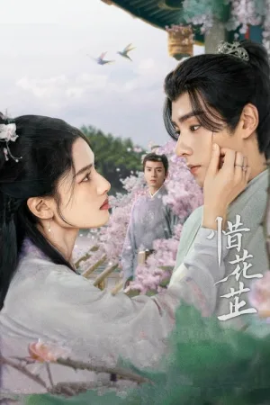 惜花芷（Blossoms in Adversity） 竖版封面