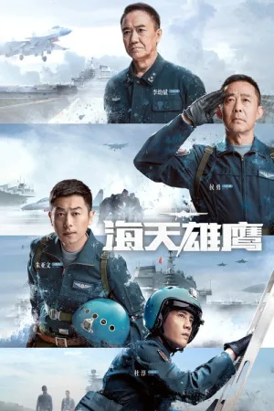 海天雄鹰（Wings of The Nation） 竖版封面