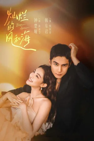 灿烂的风和海（Begin Again） 竖版封面