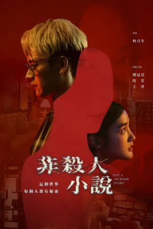 非杀人小说（Not A Murder Story） 竖版封面