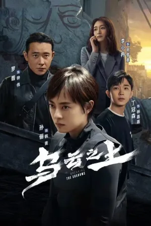乌云之上（Breaking the Shadows） 竖版封面