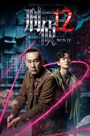 刑侦12（D.I.D 12）
