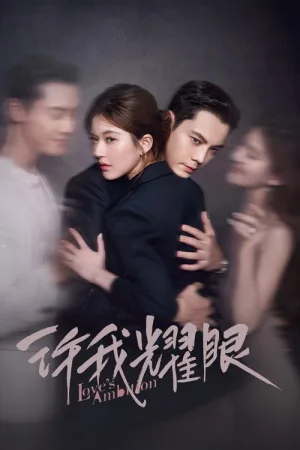 许我耀眼（Love's Ambition） 竖版封面