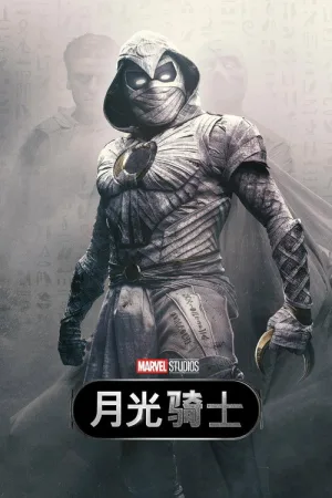 月光骑士 竖版封面