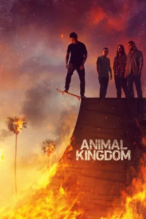 野兽家族（Animal Kingdom） 竖版封面