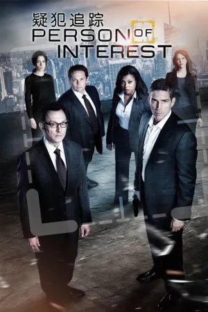 疑犯追踪（Person of Interest） 竖版封面