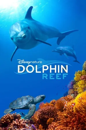 海豚礁（Dolphin Reef） 竖版封面