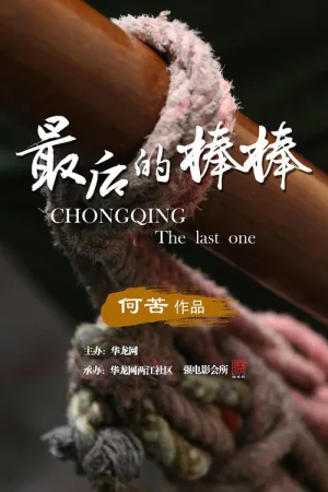 最后的棒棒 竖版封面