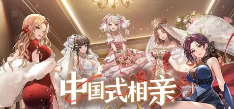 中国式相亲 Matchmaking Inc. 封面