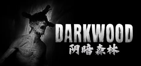 阴暗森林 Darkwood 封面