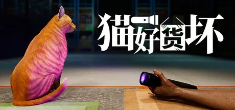 猫好货坏 Order 13 封面