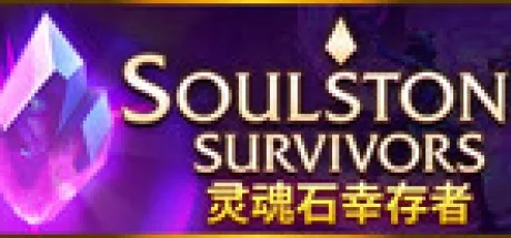灵魂石幸存者 Soulstone Survivors 封面