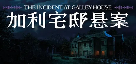 加利宅邸悬案 The Incident at Galley House 封面