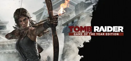 古墓丽影9 Tomb Raider Game of the Year 封面