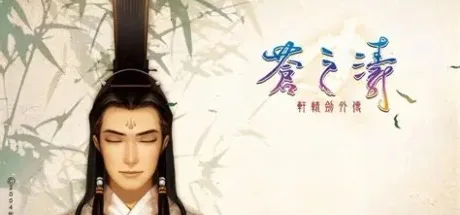 轩辕剑四外传：苍之涛 XuanYuan Sword Millennial Destiny 封面