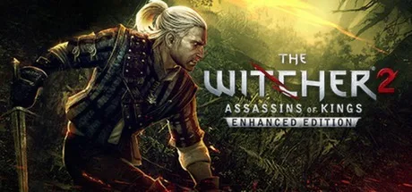 巫师2：国王刺客 加强版 The Witcher 2 封面