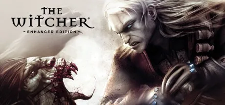 巫师：加强版 The Witcher 封面