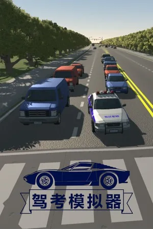 驾考模拟器（Chinese Driving Test Simulator） 竖版封面