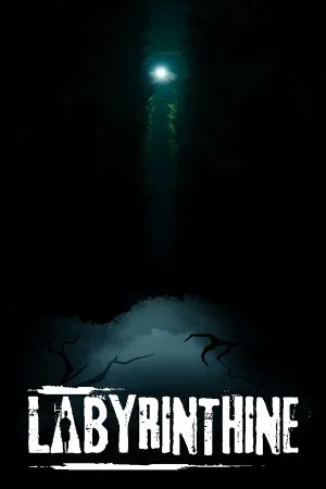 迷宫探险（Labyrinthine） 竖版封面