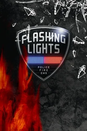 警情，消防，急救（Flashing Lights） 竖版封面