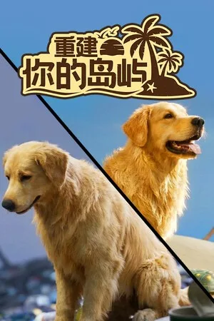 重建你的岛屿（Restore Your Island） 竖版封面