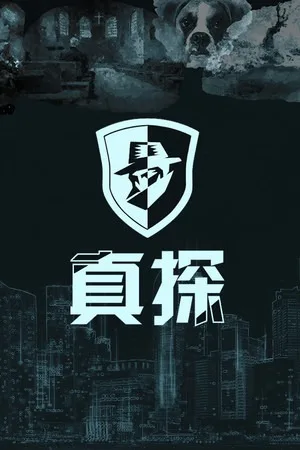 真探 系列合集（Case Cracker） 竖版封面