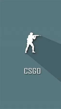 CS：GO 单机版（Counter-Strike Global Offensive） 竖版封面