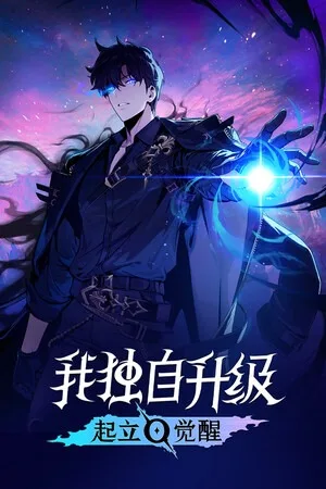 我独自升级：起立觉醒（Solo Leveling ARISE OVERDRIVE） 竖版封面