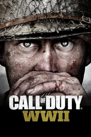 使命召唤14：二战（Call of Duty WWII） 竖版封面
