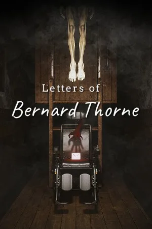伯纳德索恩的信件（Letters of Bernard Thorne） 竖版封面